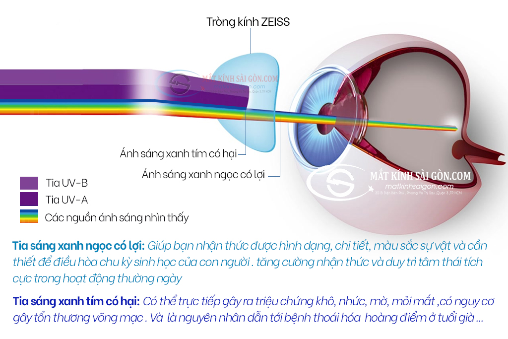 Tròng Kính 1.60 ZEISS DuraVision BlueProtect UV - Hình 3